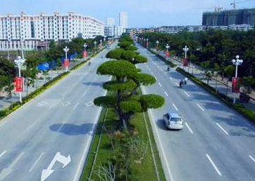 Wuhan Jiangda Road Reconstruction and Expansion Project