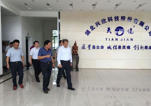Wang Li, secretary of the Ezhou Municipal Party Committee, visited Hubei Xingxin to investigate the party building situation